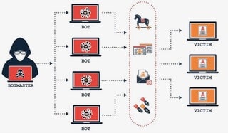 what is botnet